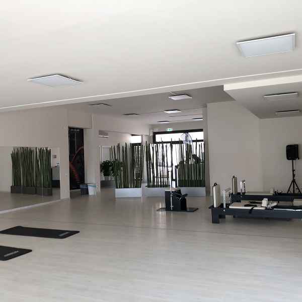 Palestra (Pesaro)